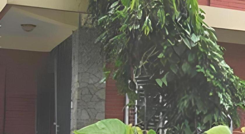 Fairmount Hotel Pokhara Extérieur photo